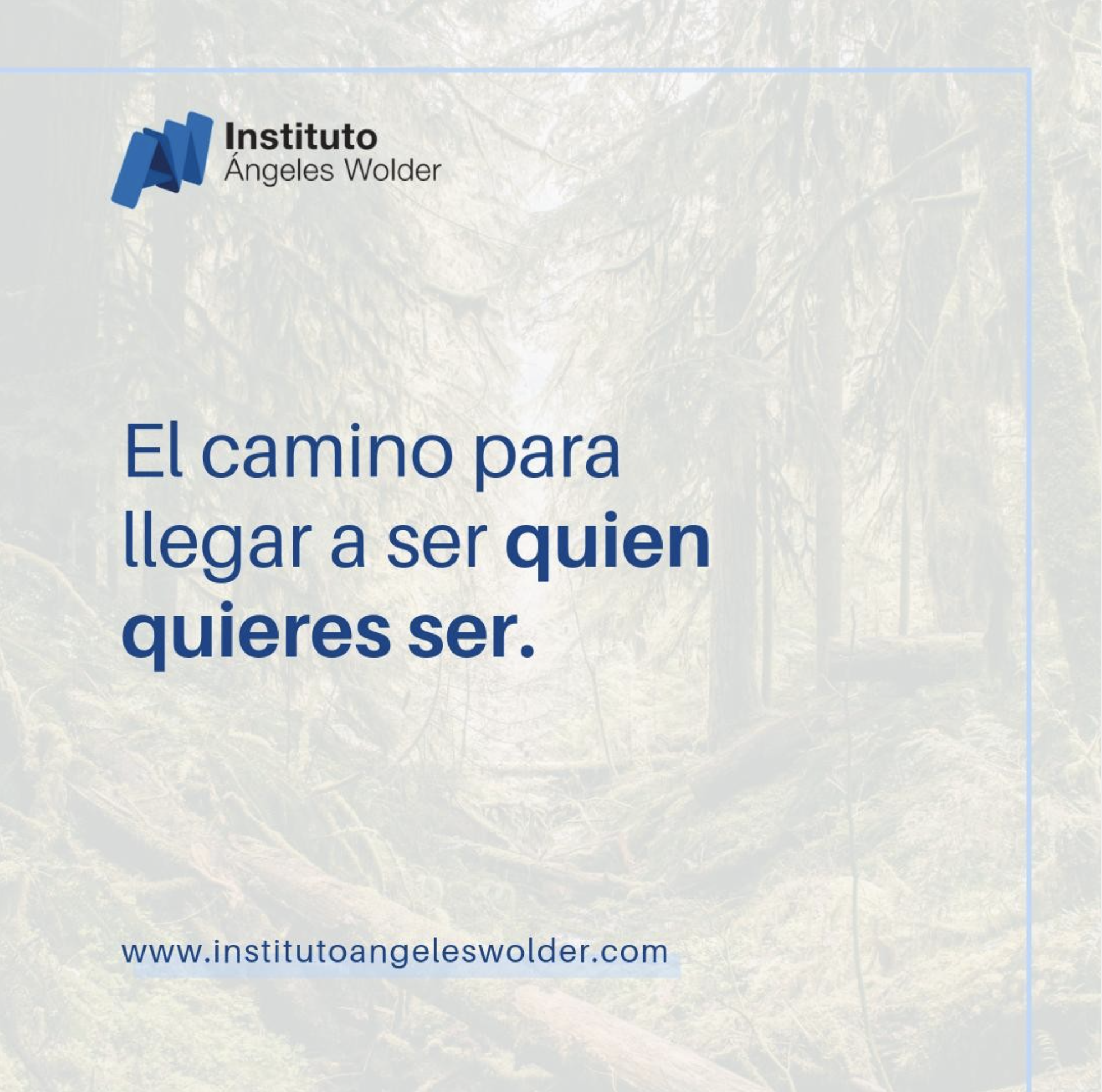 Captura de pantalla 2025-09-08 a las 17.51.09