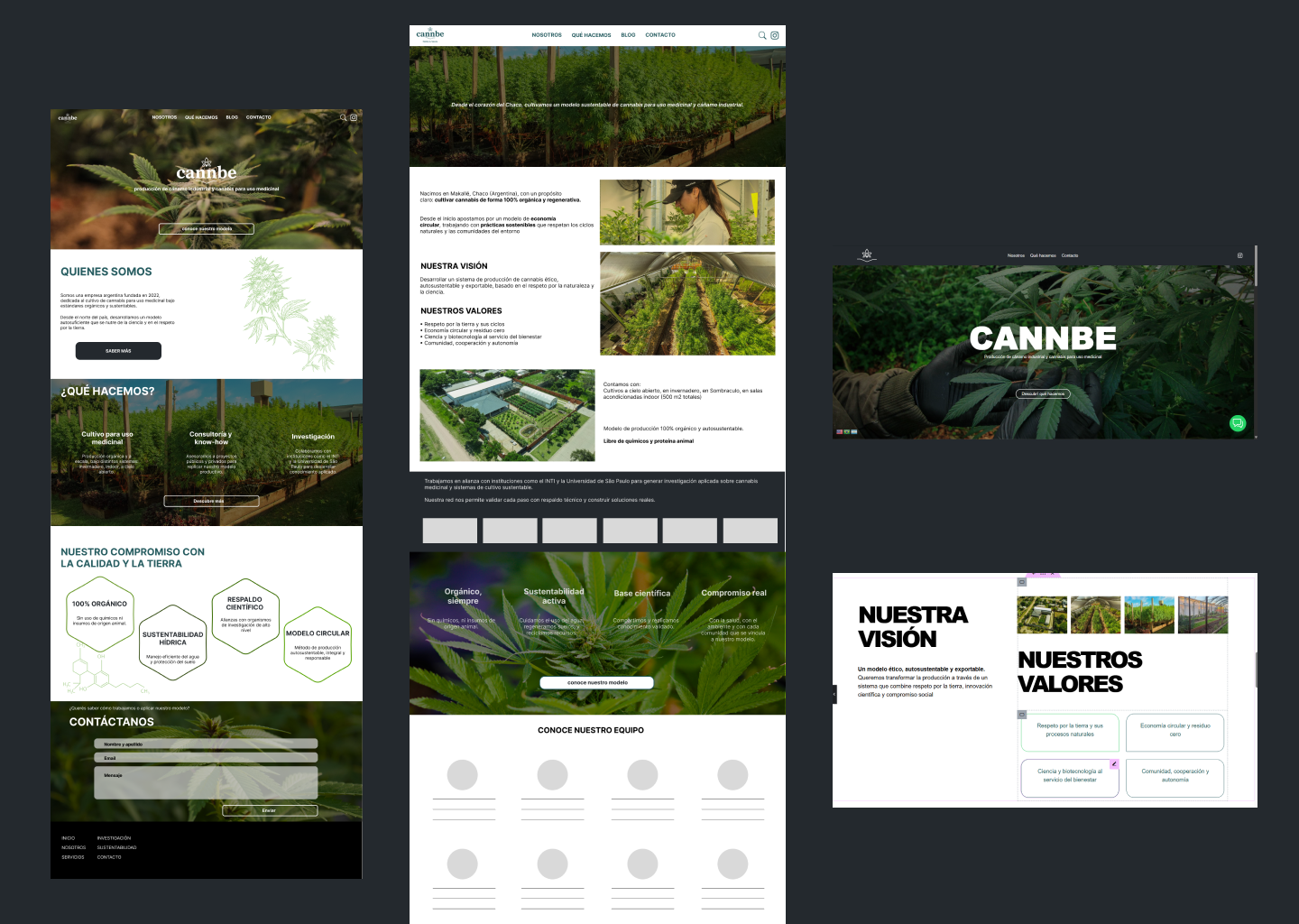 portfolio para web 1
