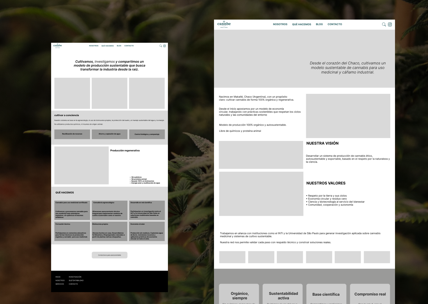 portfolio para web 2