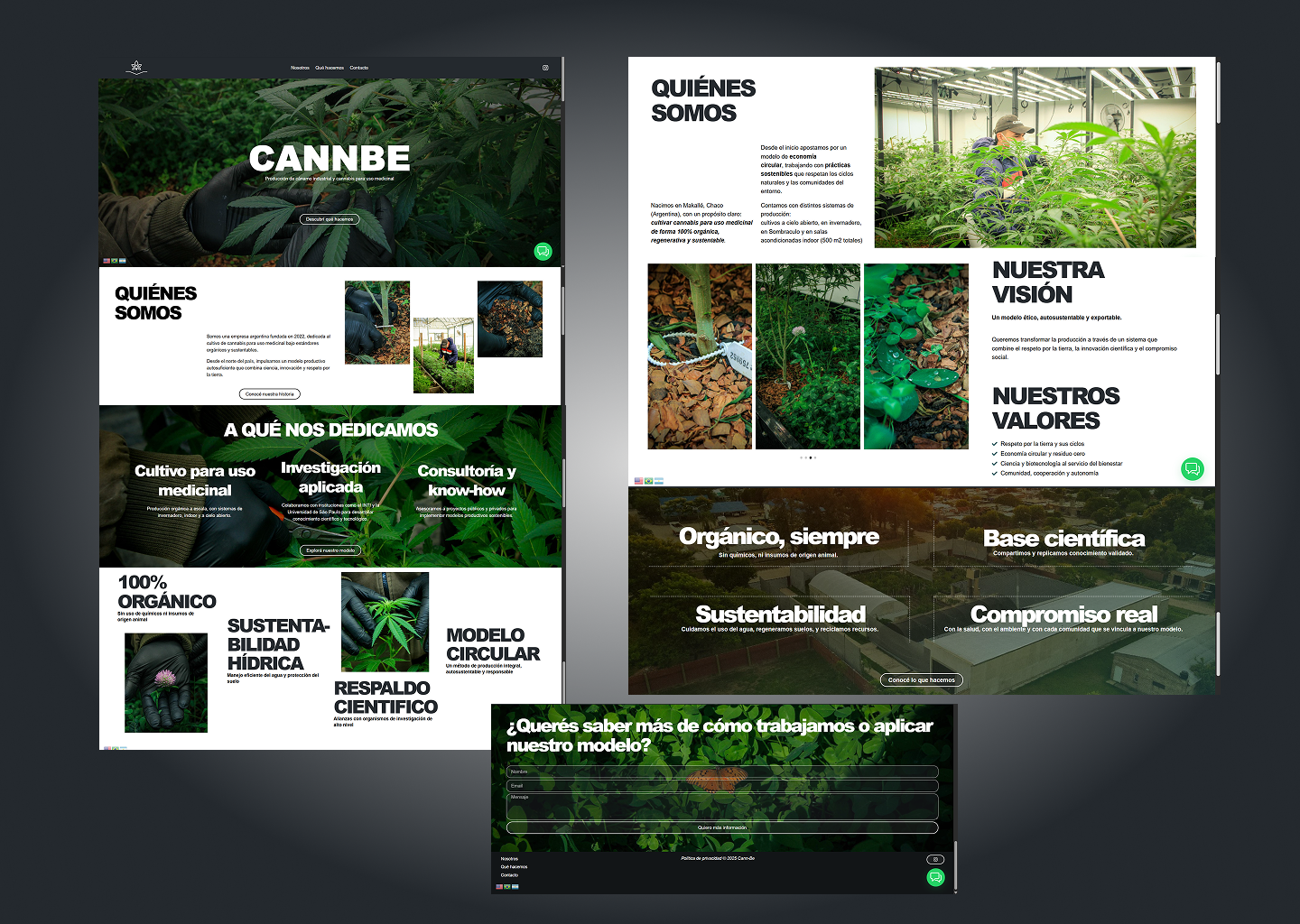 portfolio para web 3